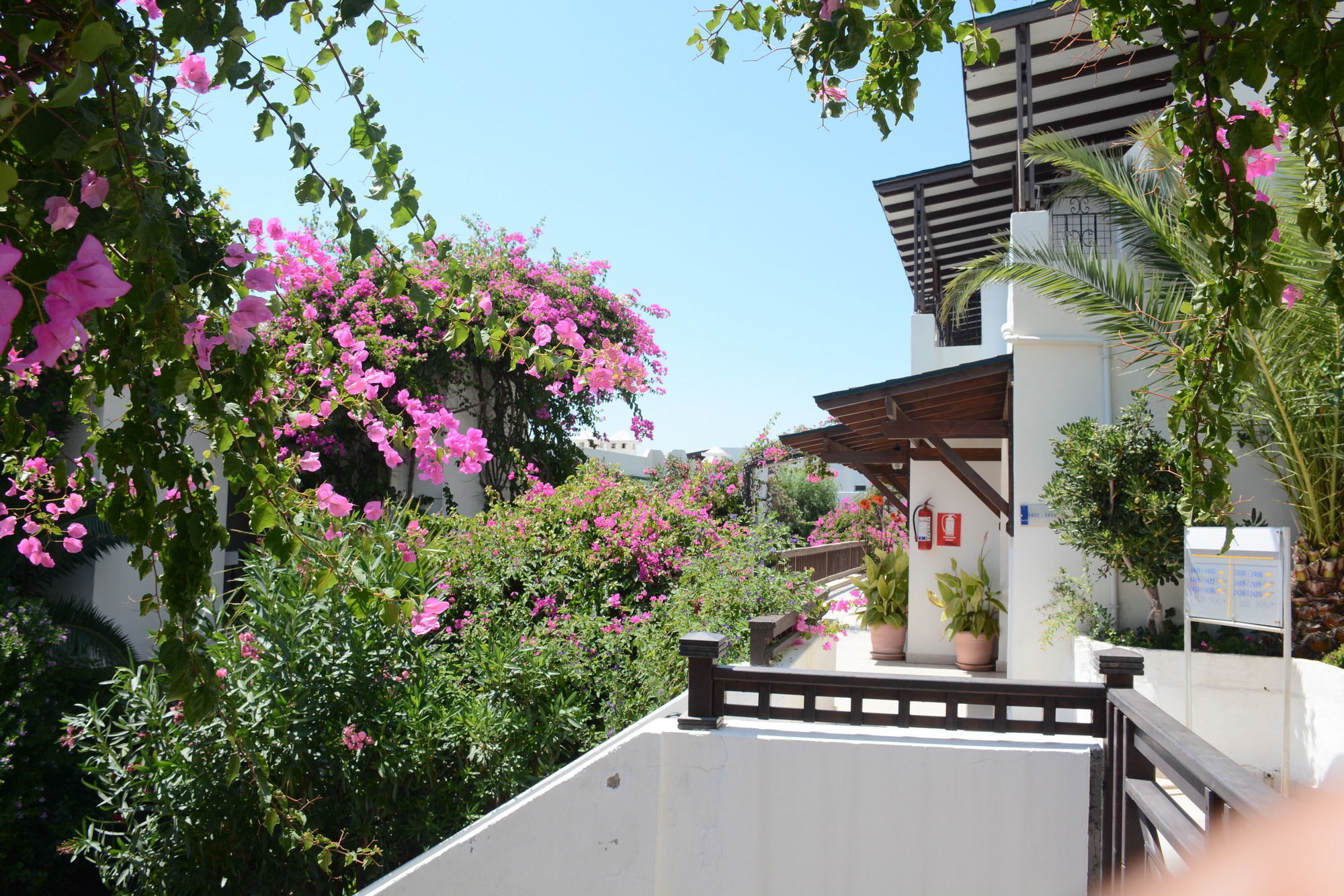 Forever Club (Adults Only) Bodrum Esterno foto