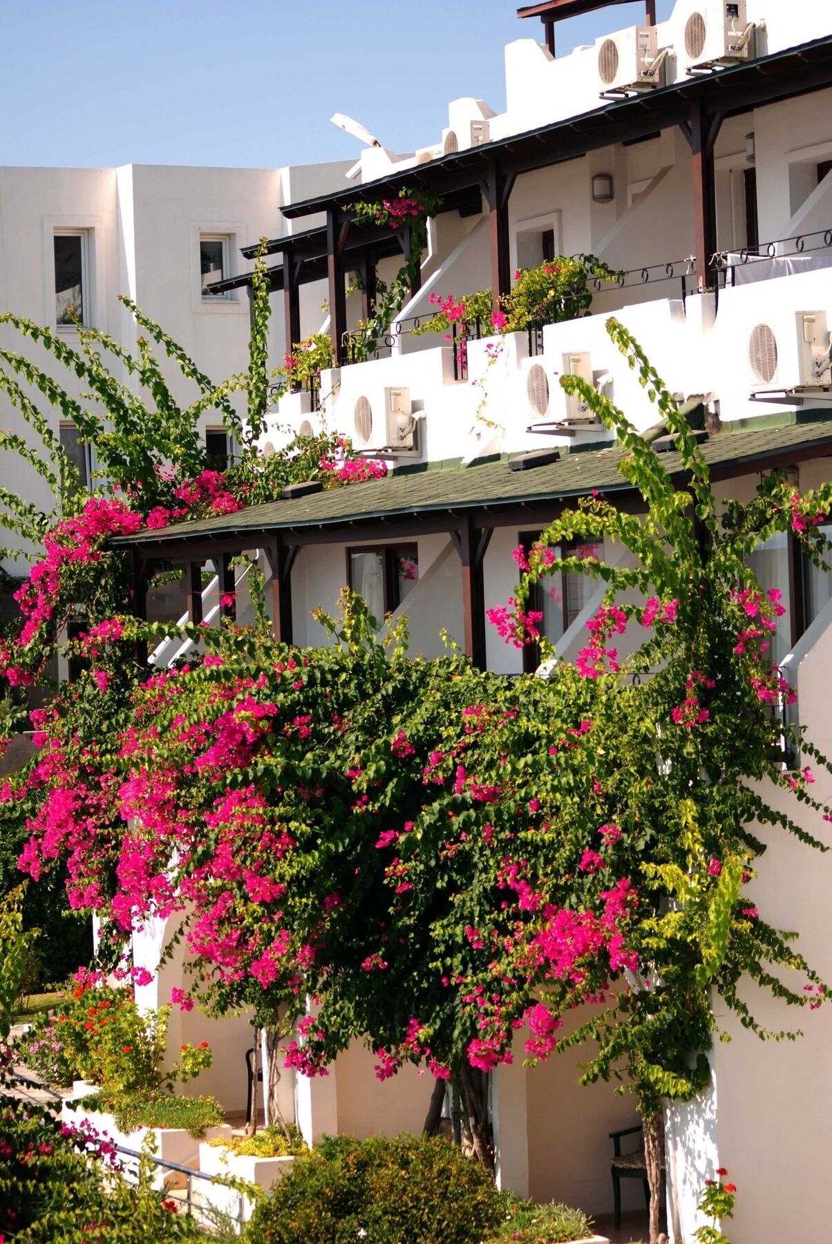 Forever Club (Adults Only) Bodrum Esterno foto